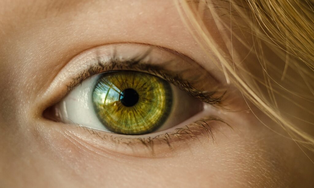 Auge grün Fokus Lernen Augenkontakt zu halten Blickkontakt unangenehm