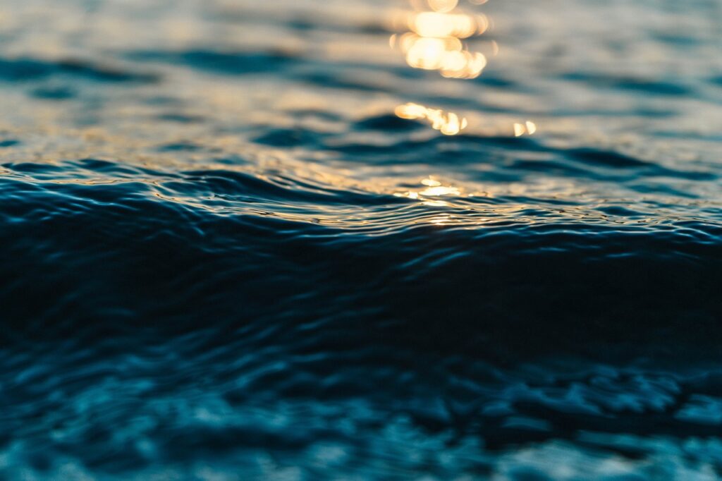 Wasser blau Sonne Der fortwährende Einfluss von Köderfischen auf das Angeln und die Veränderungen