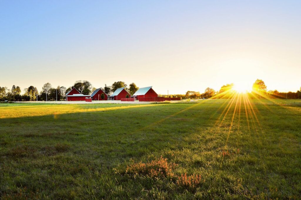 Schweden Sonne Häuser Landschaft Ist schwedisch lernen schwer Schwierige Sprache